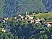 Sui monti sopra casa bei fiori primaverili-26magg23 - FOTOGALLERY